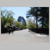 DSCN8515.JPG