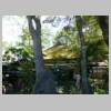 DSCN8523.JPG