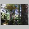 DSCN8552.JPG