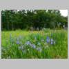 DSCN8968.JPG