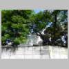 DSCN3725.JPG