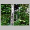 DSCN4468.JPG