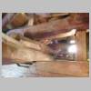 DSCN9710.JPG