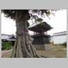 DSCN9749.JPG