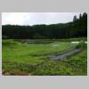 DSCN4572.JPG