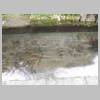 DSCN5650.JPG