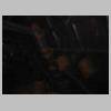 DSCN3448.JPG