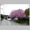 DSCN3546.JPG