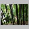 DSCN5022.JPG