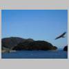 DSCN2598.JPG