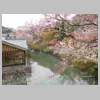 DSCN7619.JPG