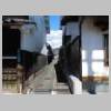DSCN4449.JPG