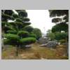 DSCN4965.JPG