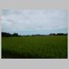 DSCN4972.JPG