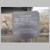 DSCN6215.JPG