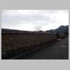 DSCN6219.JPG