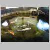 DSCN6720.JPG