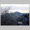 DSCN6737.JPG