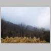 DSCN8922.JPG