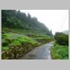DSCN9462.JPG