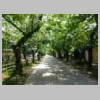 DSCN9853.JPG