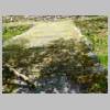 DSCN9868.JPG