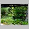 DSCN9905.JPG