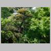 DSCN9909.JPG