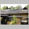 DSCN9920.JPG