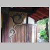 DSCN9239.JPG