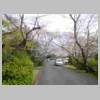 DSCN7168.JPG