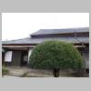 DSCN3336.JPG