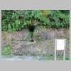 DSCN5819.JPG