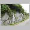 DSCN4107.JPG
