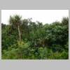 DSCN4112.JPG