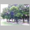DSCN4153.JPG