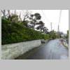 DSCN8516.JPG