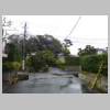 DSCN8517.JPG