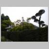 DSCN8539.JPG
