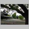 DSCN0490.JPG