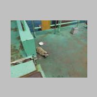 DSCN8585.JPG