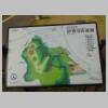 DSCN9509.JPG