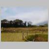 DSCN9513.JPG