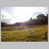 DSCN9514.JPG