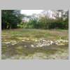 DSCN9517.JPG