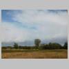 DSCN9520.JPG