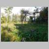 DSCN9526.JPG