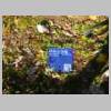 DSCN9528.JPG