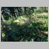 DSCN9529.JPG
