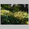 DSCN9530.JPG
